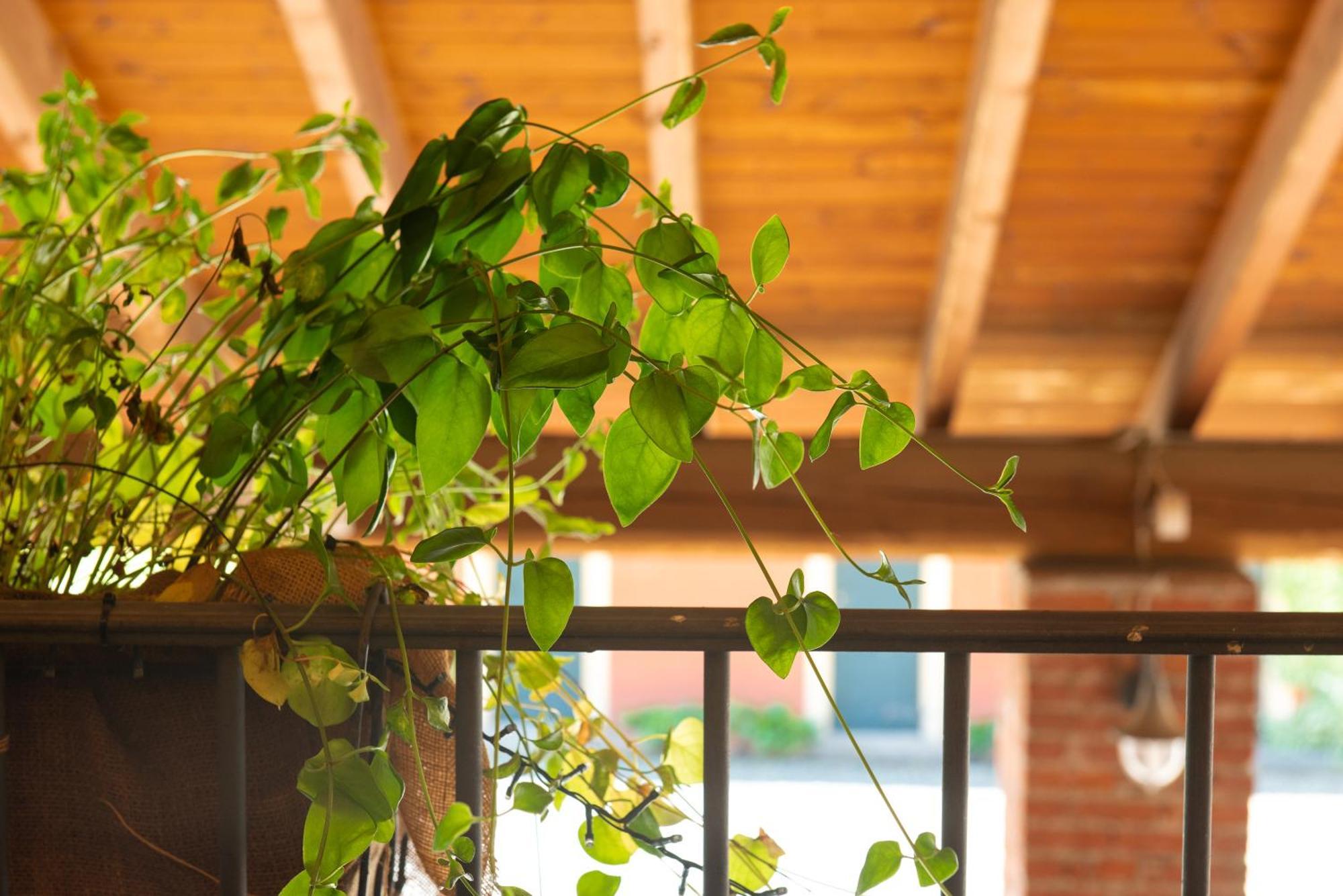 Country House Cascina Orto Pasturana Εξωτερικό φωτογραφία